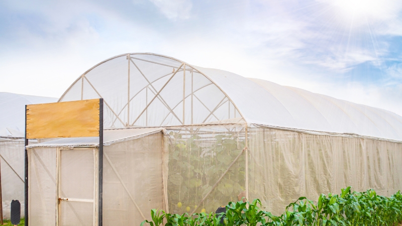 אוהל אחסנה לצרכי חקלאות